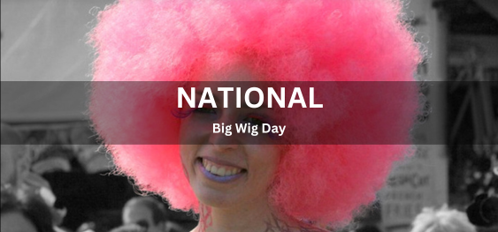 National Big Wig Day[राष्ट्रीय बड़ा विग दिवस